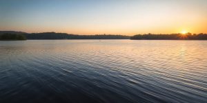 A tranquil lake at sunset surrounded by greenery.